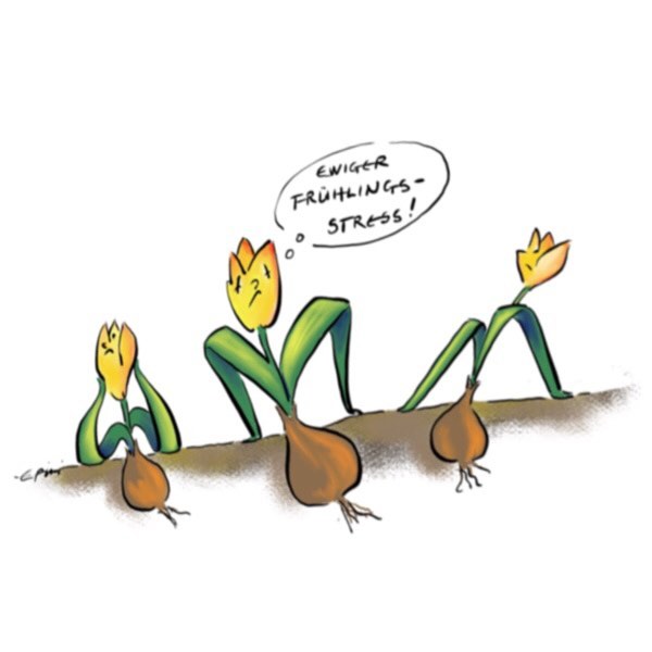 Cartoon der Woche 2018-01-21
