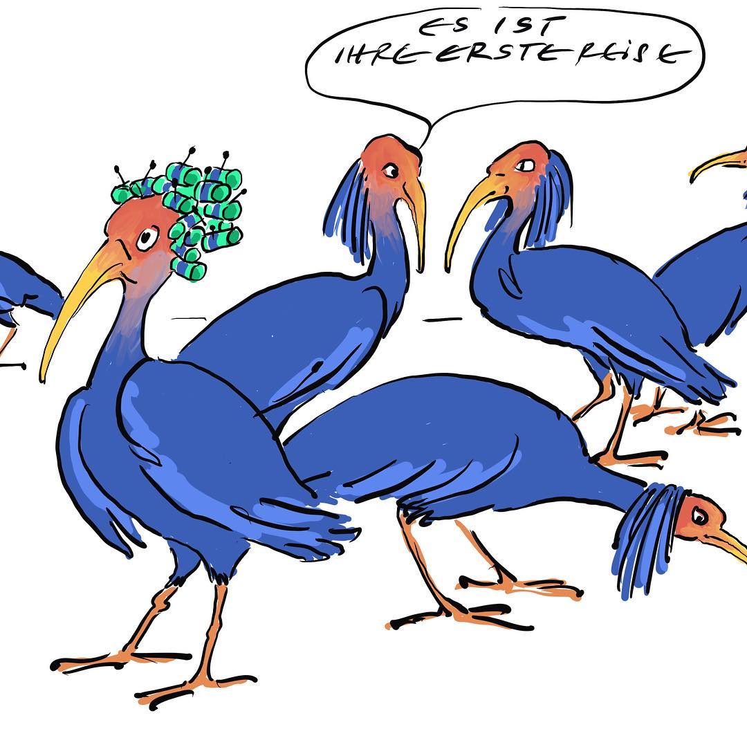 Cartoon der Woche 2018-08-05