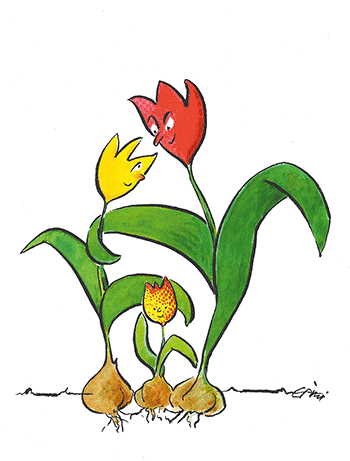 Cartoon of the week (14.01.2013)