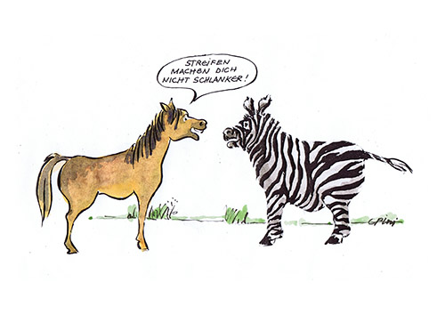 2015_06_08_BIZZZ37_StreifenSchlank