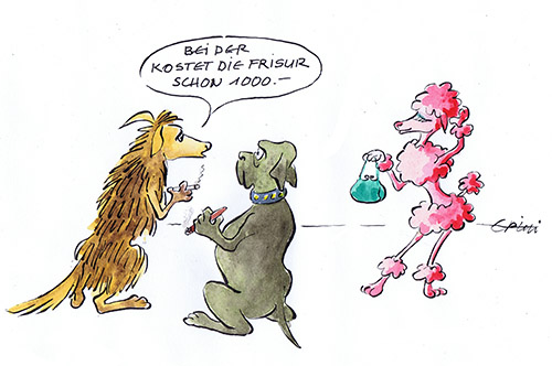 2015_09_20_BIZZZ52_Frisur