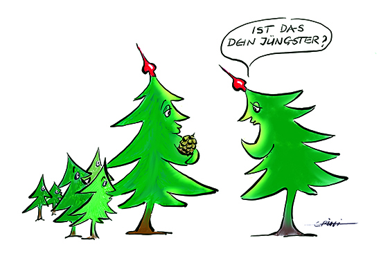 2016_12_18_292_tannenmutterzapfen
