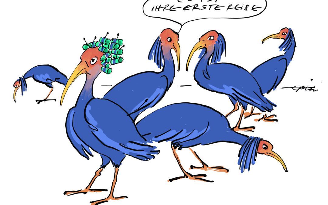 [:en]Cartoon of the week 6.8.2018[:de]Cartoon der Woche 6.08.2018[:]